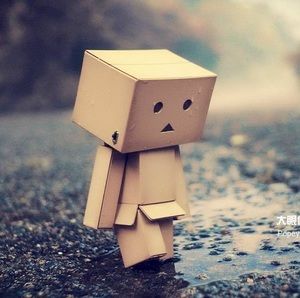 Meet your Posher, Liqing